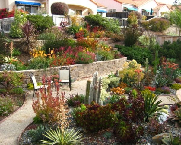 kleurrijke plant-in-mediterrane tuinbouw steen