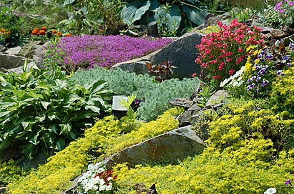 spalvoti gėlės ir akmenys sodo dizainui