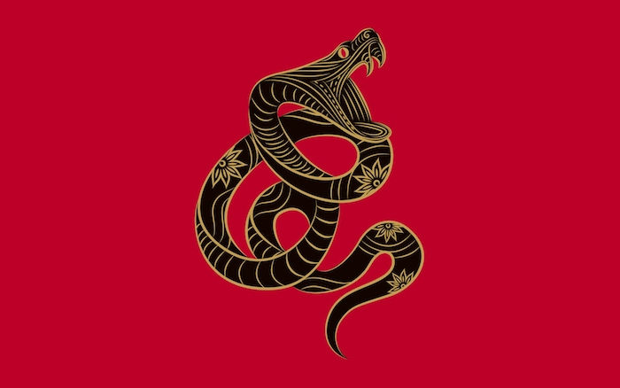 čierny had, hadí kresba, zlatá farba, had had
