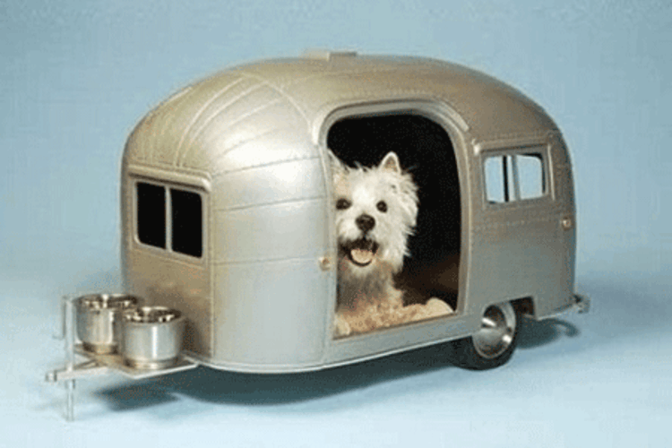 Šuns namas-kaip-karavanas-juokinga-Chic-kilnus-pompastiškas-modernus dizainas
