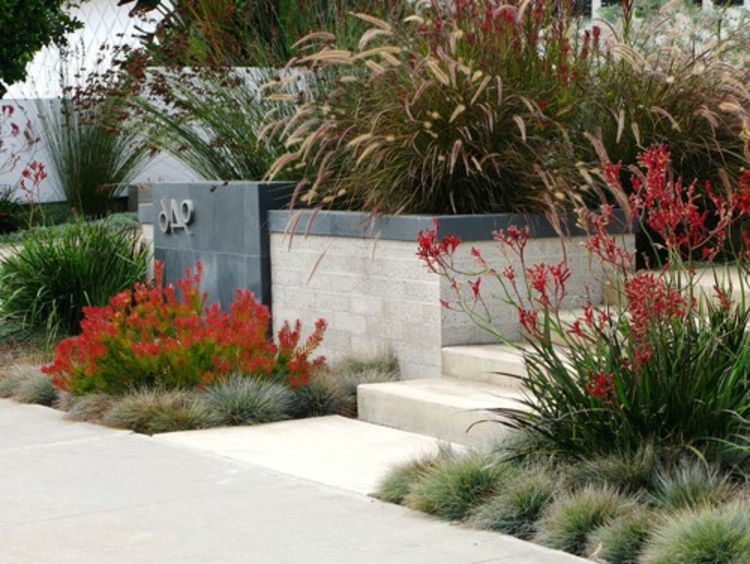 Prosty, elegancki, szlachetny najbardziej nowoczesne wyjątkowy projektant-fine-czerwonych kwiatów akcenty traw-ogród