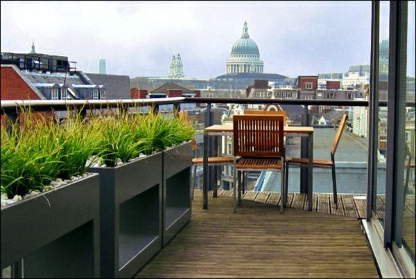 maravilhoso Styler terraço com plantas verdes