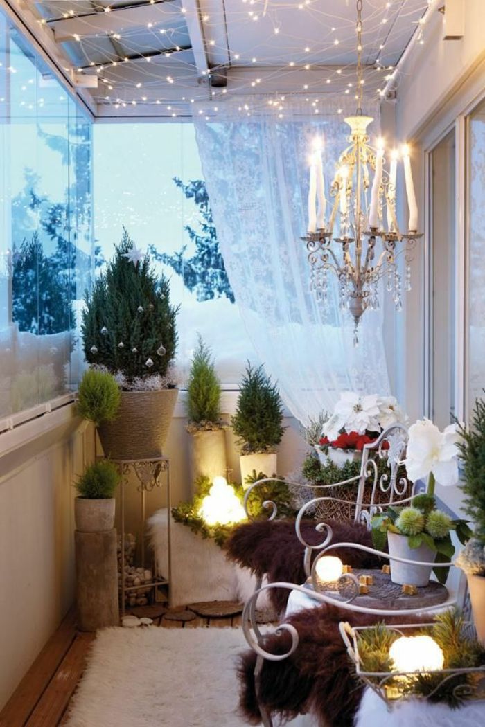 Chladné zimné dekoratívne balkón črepníkových kvetín