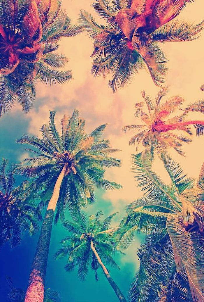 Verão, mar, palmeiras altas com coroas verdes, céu azul e branco