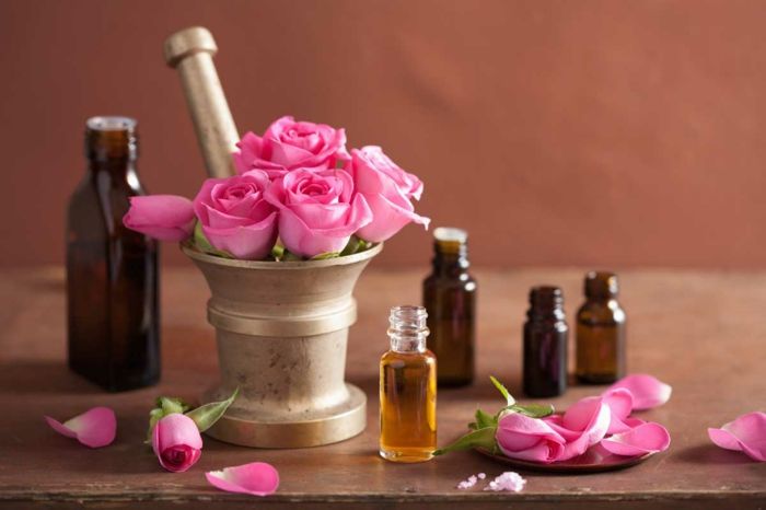 Gör kosmetika själv: rosolja i kosmetiska flaskor av mörkt glas, rosenblad, rosor, murbruk