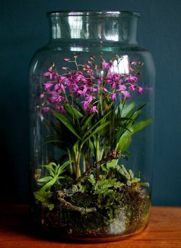 terrarium med vackra blommor i den