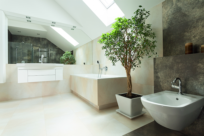 majhni prostori pametno postavili belo kopalnico, ki ponuja ideje rastlin potopi