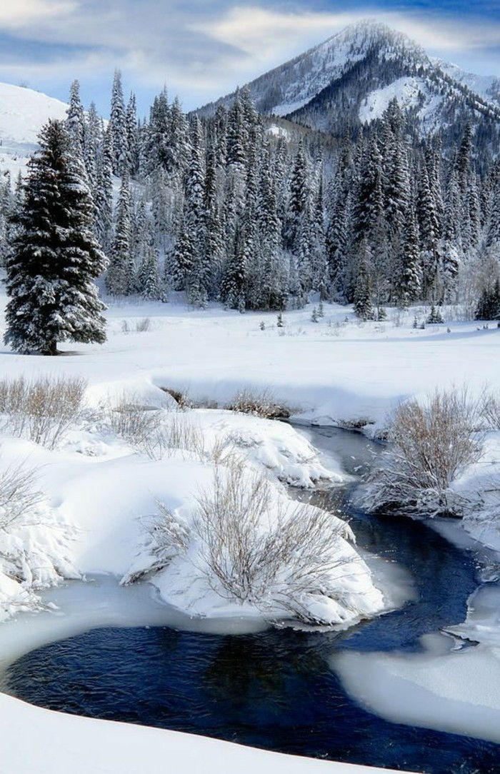 de-Wasatch Muntii-in-iarna-congelat-lac-pitoresc imagine de iarnă