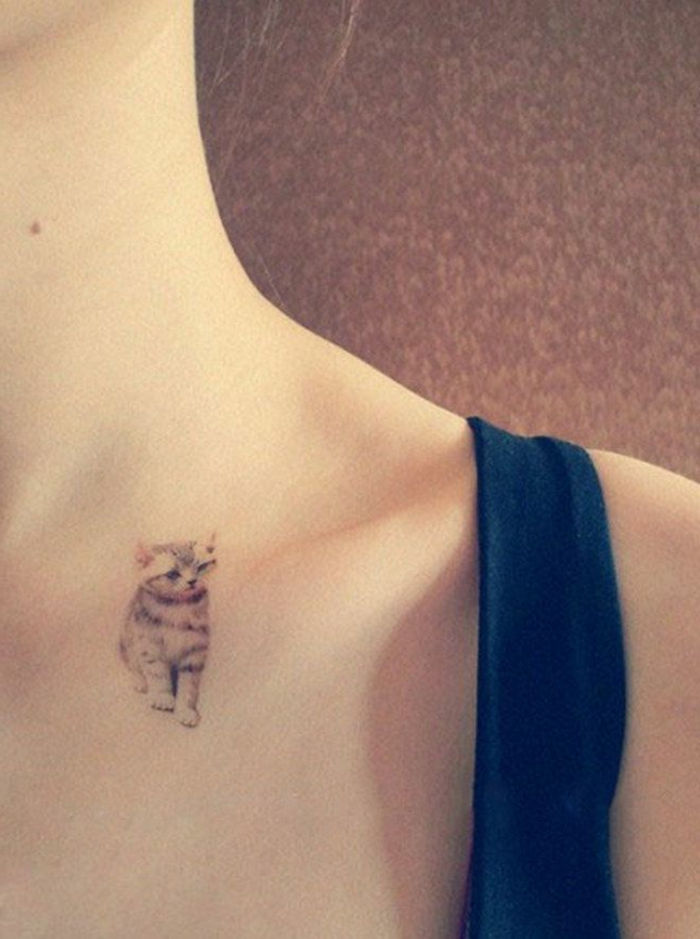 una dintre ideile noastre preferate pentru un tatuaj mic cu o pisica gri - o femeie cu un tatuaj pentru pisici