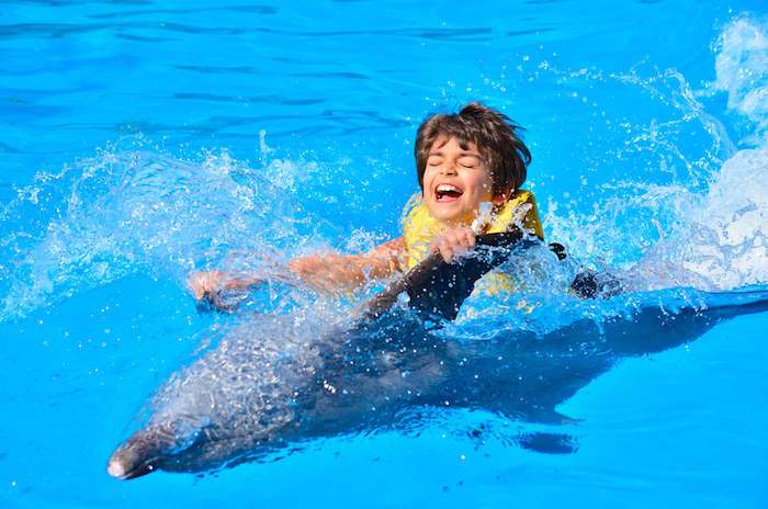 Nu visar vi dig en bild med ett barn med en flytande grå delfin i en pool med ett blått vatten