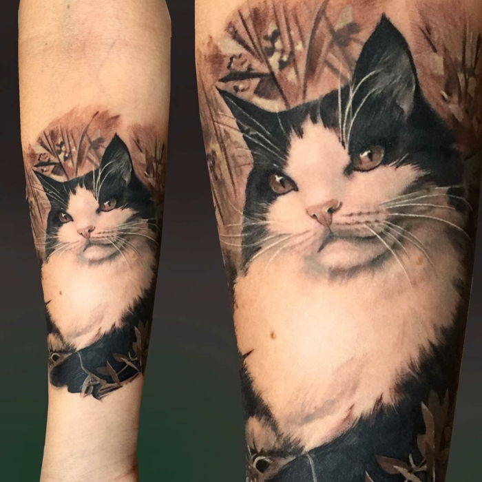 aici este o pisica frumoasa alba cu nas roz, ochi verzi si barbi lungi, lungi - idee pentru un tatuaj de pisica pe mana