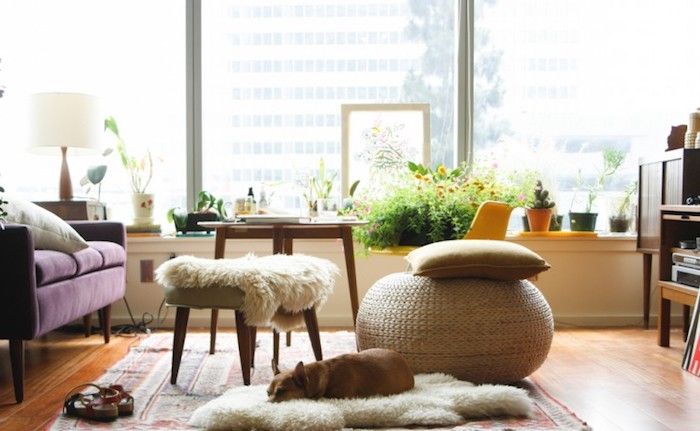 sittdynanidé sovhund på fällda mattan designermöbler lila soffan stort fönster