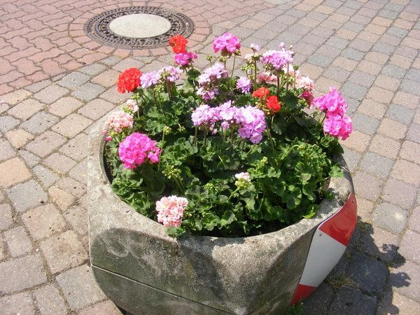 deco-ideeën-flower-bloembakken-from-stone-straßendeko