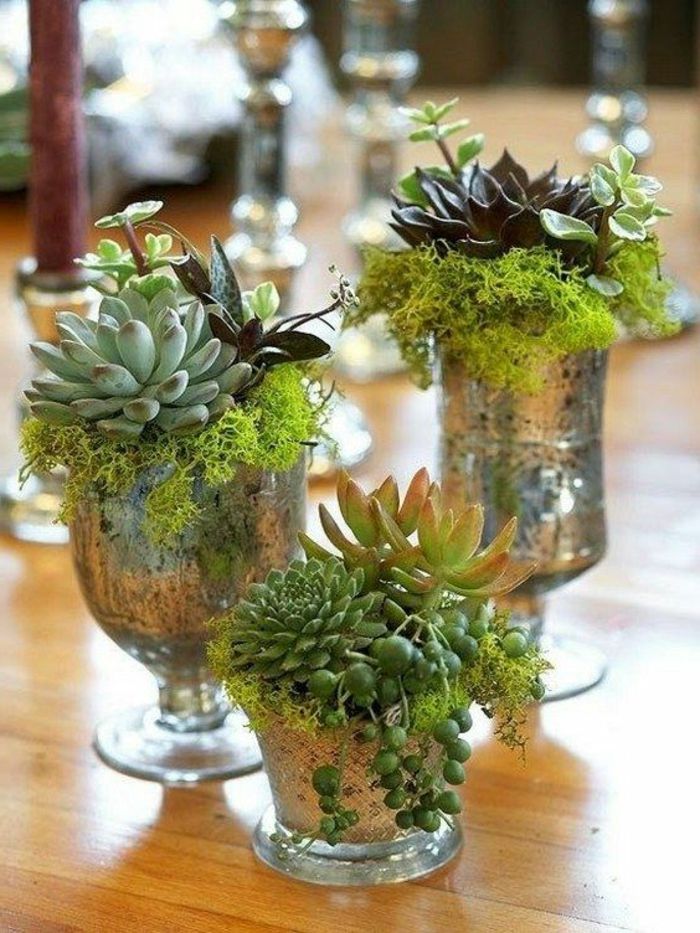 Idéias de decoração de mola e três vaso com plantas-e-musgo