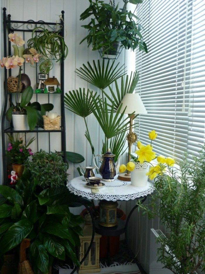 Dekoration tips-dekoration tips vardagsrum-wohnzimmerdeko-pflanzenimwohnzimmer