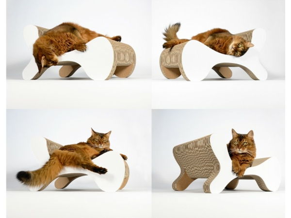 tasarım mobilya kedi-cat-on