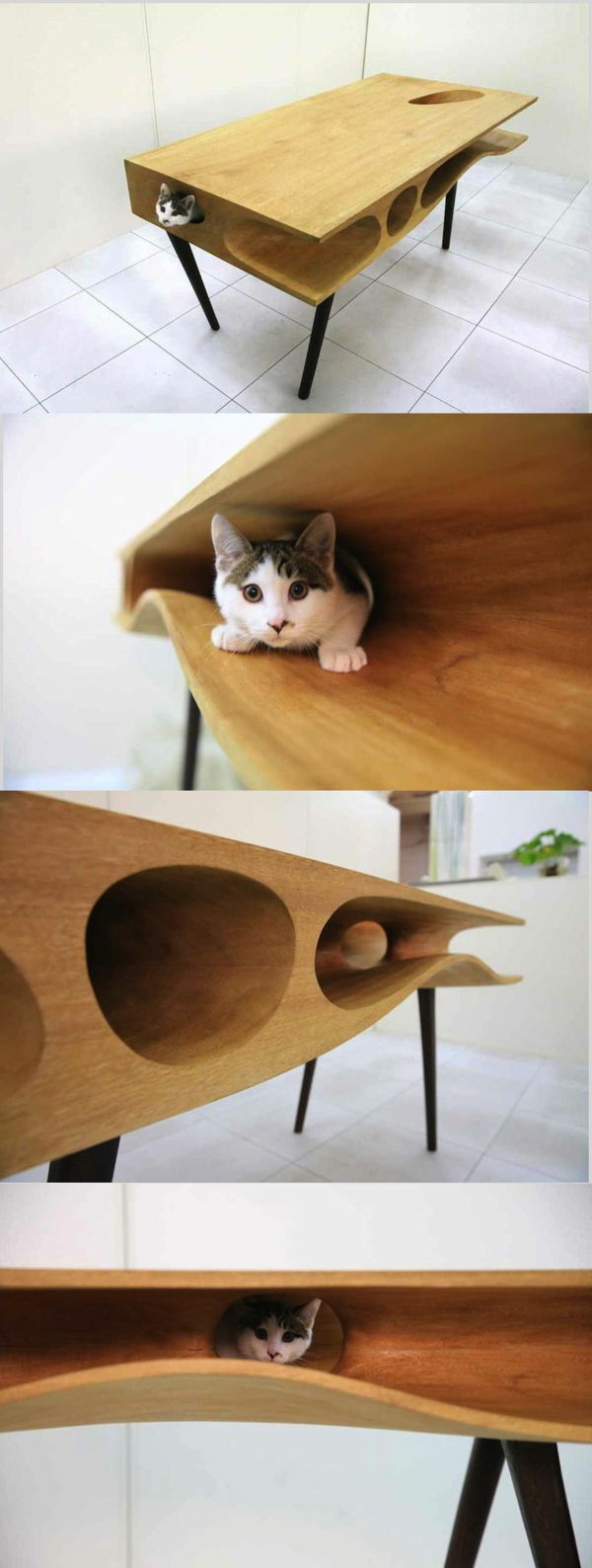 tasarım mobilya kedi-Chuchu-ny-masası