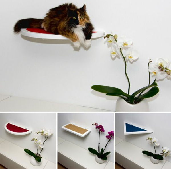 tasarım mobilya kedi evi panthers