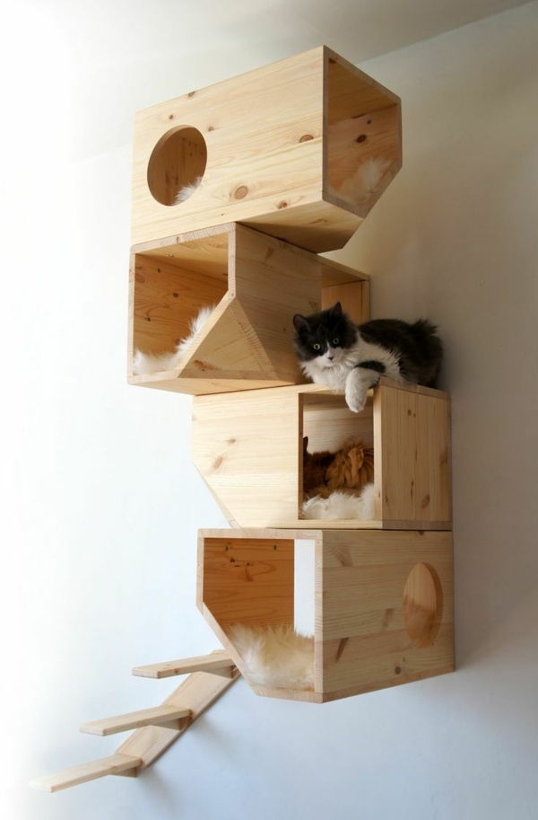 tasarım mobilya kedi-Imgur