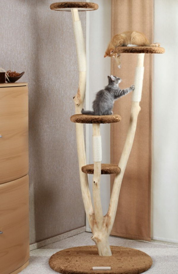 Konštrukcia-nábytok cat-rarissima