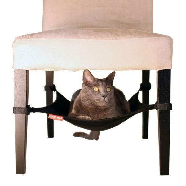 tasarım mobilya kedi-sandalye-ile-sürpriz