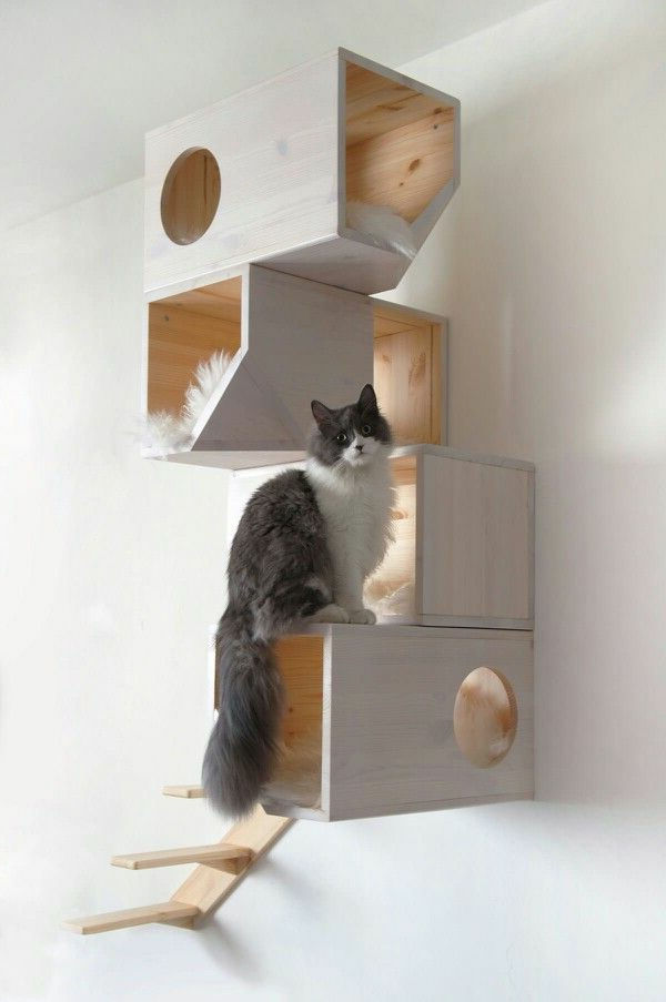 tasarım mobilya kedi-beyaz