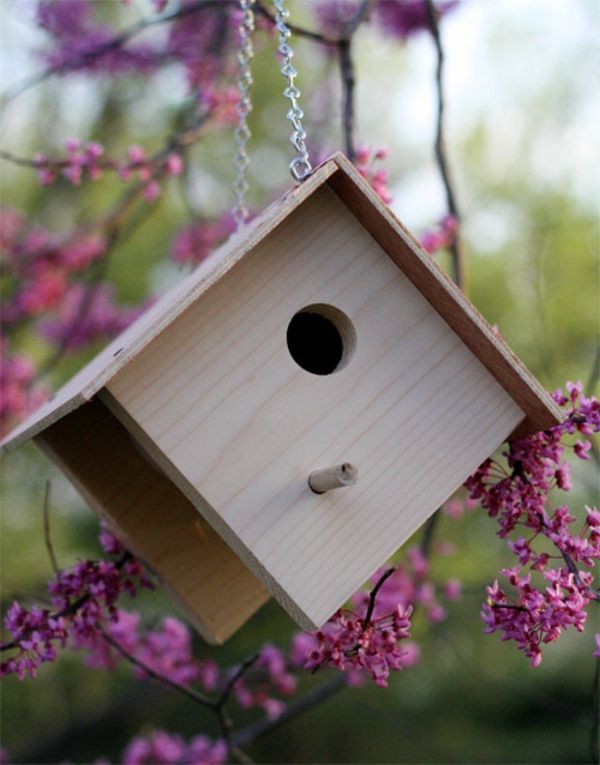 Diy vakre birdhouse - vakre blomster bak den