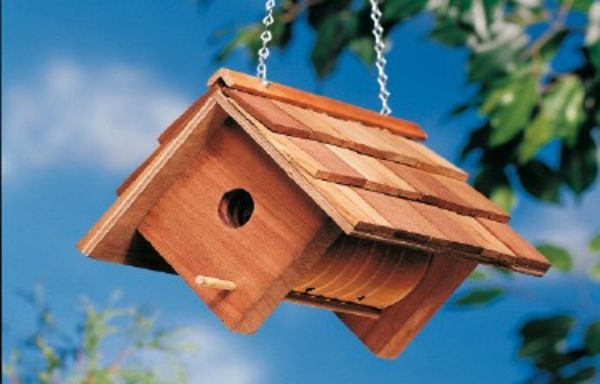 Diy birdhouse moderne på et treverk