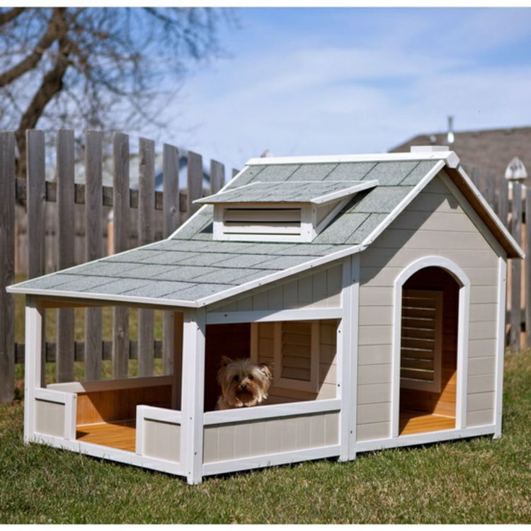 Šuns namas-medis-Chic-kilnus-dauguma-modernus-tiesiog-su-veranda