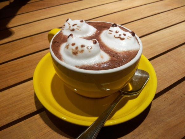 Trzy Kot foam-in-a-filiżanki kawy Deco
