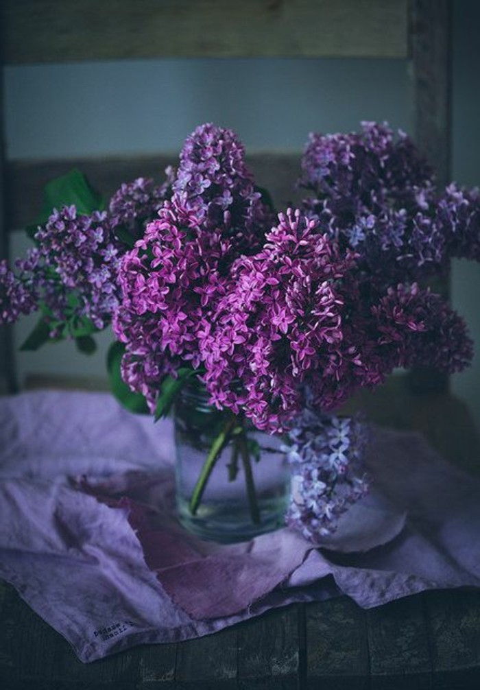 Violet Flower Fotografii închis vintage Vas foto cu Lilac