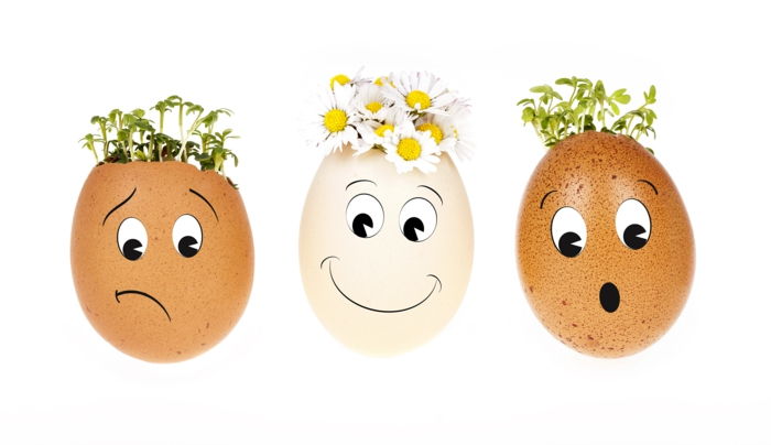 Måla roliga ägg och dekorera med växter, olika uttryck