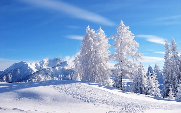 vakkert vinterbilde med en blå himmel med hvite skyer og en skog med hvite trær Miz snø