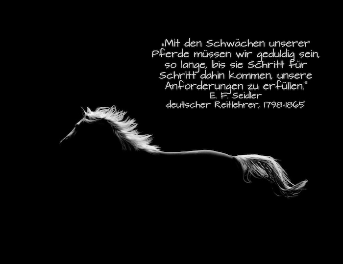 Det här är en bild av en löpande svart häst med en vit svans och en tät vit man - hästspråk och hästbilder