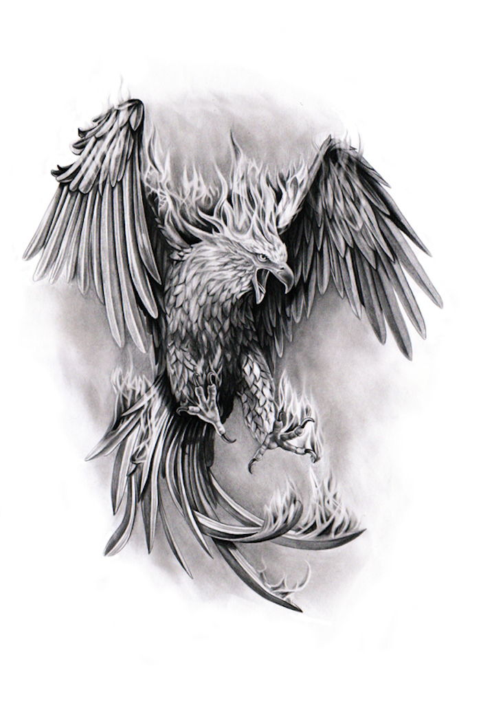 phoenix tattoo betekenis - een grijze vliegende feniks met twee vleugels met lange grijze en zwarte veren - een brandende feniks