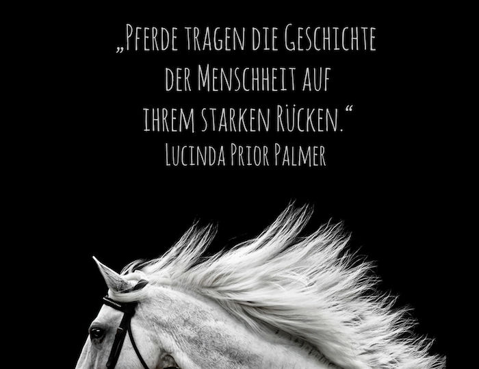 aici este un cal scurt și un citat din lucinda înainte de palmer și o imagine cu un cal alb sălbatic, cu o coamă albă și ochi negri