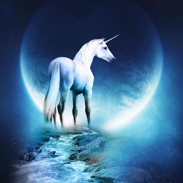 un unicorn alb, cu ochi negri și un corn alb și lună mare și apă și pietre - imagini de unicorn