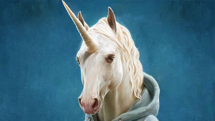 belo unicorn s črnimi očmi in rumenim rogom ter dolgimi ušesi in modrim zidom - ljubek enobarvni posnetek