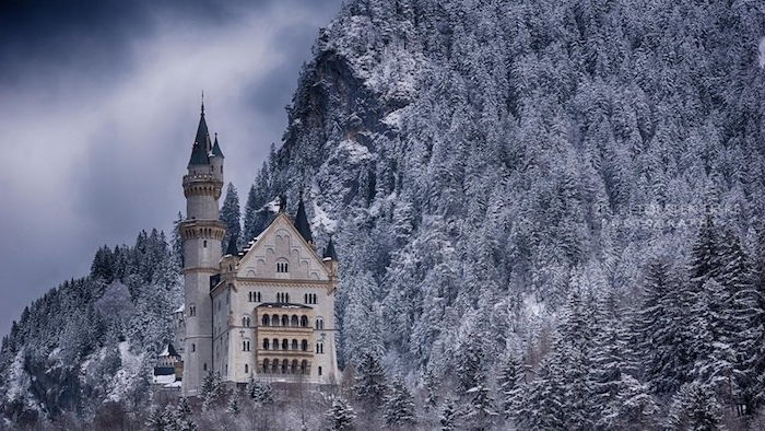 biely hrad s vežami - zimný les so stromami so snehom - obloha so sivými mraky
