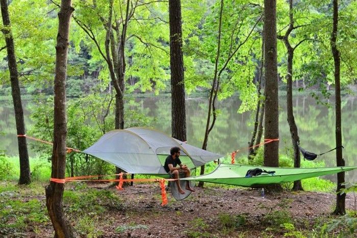 a-hvit-og-en-grønn-camping telt-in-the-wild-wald