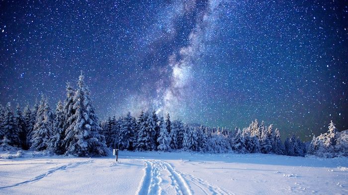 blå himmel med hvite stjerner - en skog med mange trær med snø - romantiske vinterbilder