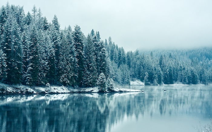 un lac albastru cu o pădure cu mulți copaci cu zăpadă