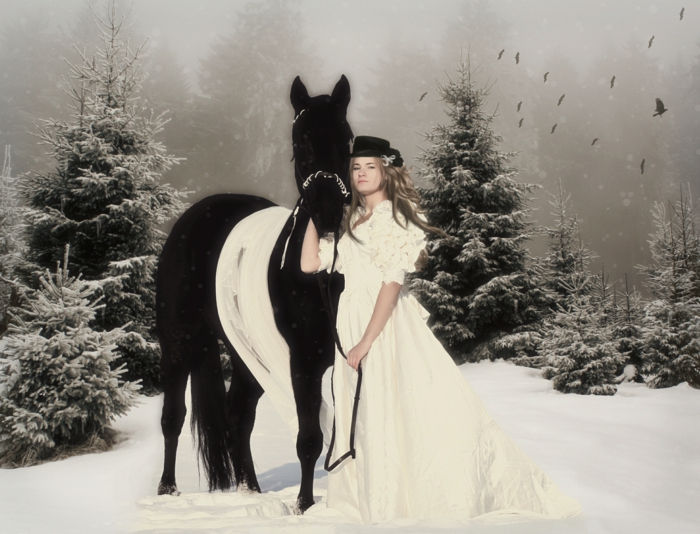 o-femeie-și-un-cal-in-zăpadă