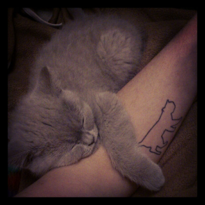 tatuaje cu pisica mică - aici este o pisică mică, drăguță, de dormit, gri și o mână cu un tatuaj cu pisica neagră