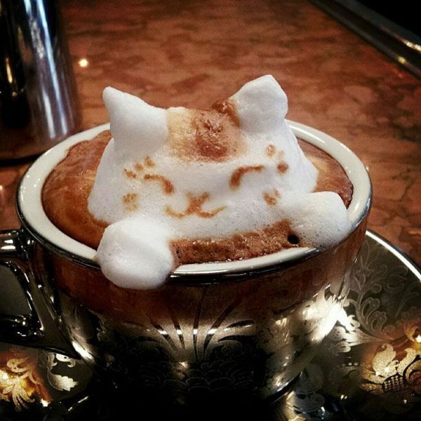 a-katė-forma-in-puodelio-kavos
