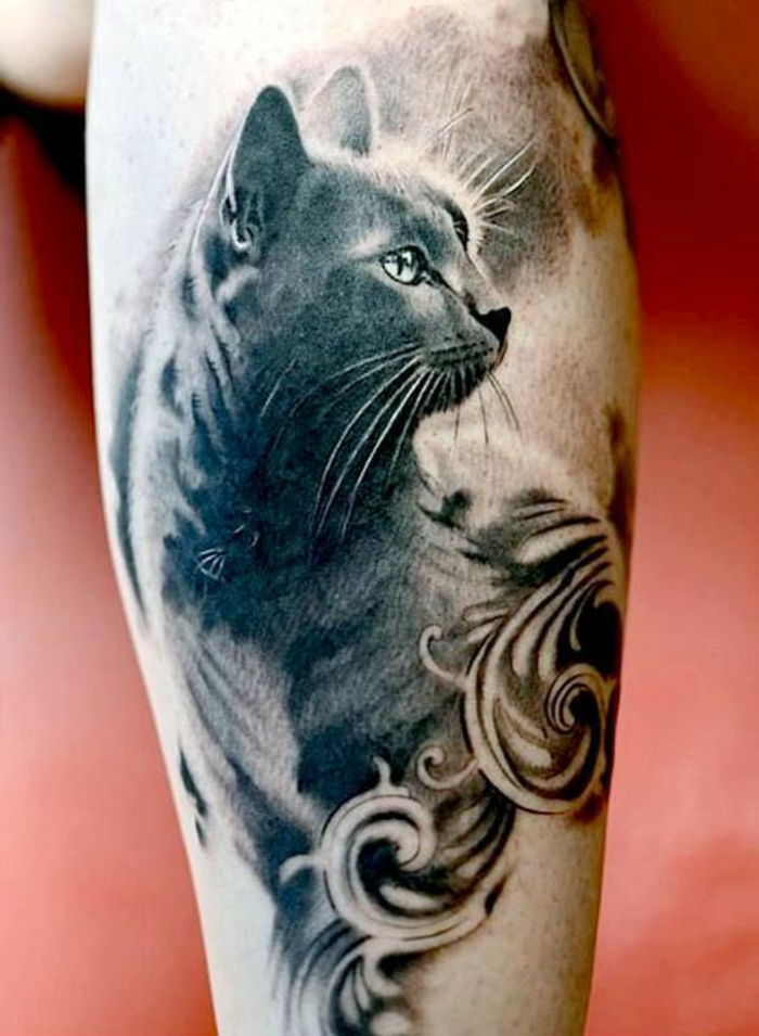 una dintre indepensele noastre pentru pisica tatuajului - aici este o pisică gri, cu cozi lungi și ochi verzi