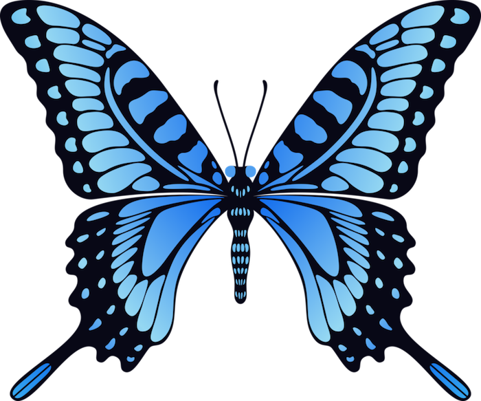 en blå og virkelig vakker, eventyrlig sommerfugl med store, lange vinger og blå øyne - ide for en tatoveringsfylle