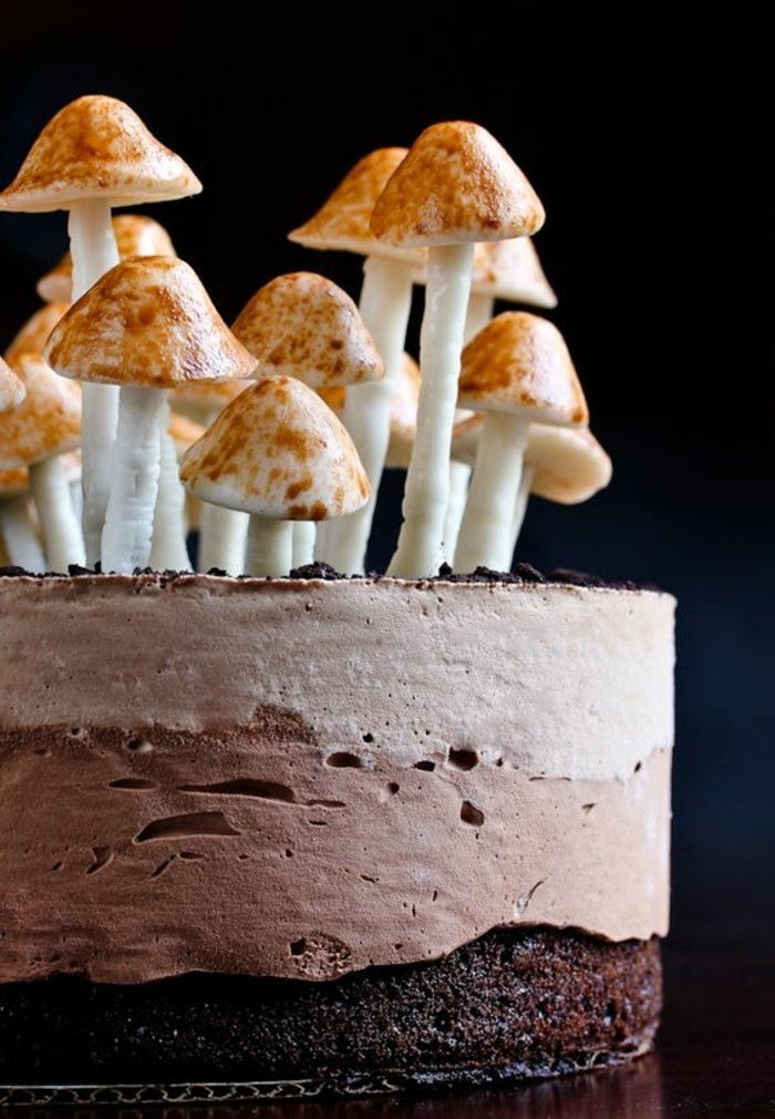 Unikátny čokoládová torta-s-húb-of-cukru dekorácie