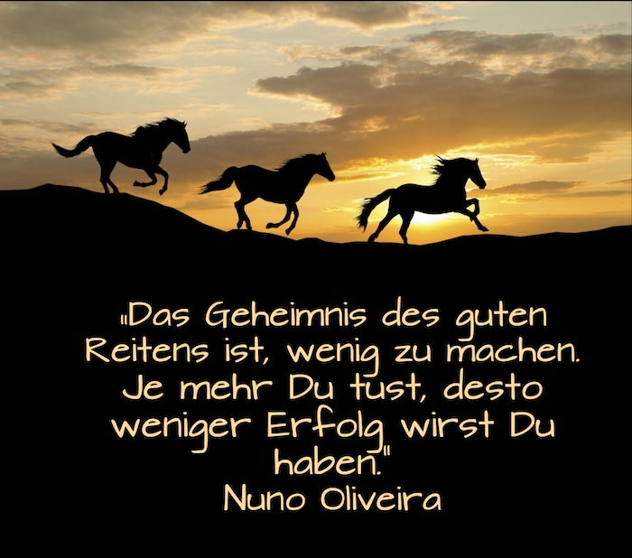 Citaat van Nuno Oliveira en dre Black rennend paarden in de zonsondergang, hemel met zon en gele en oranje wolken