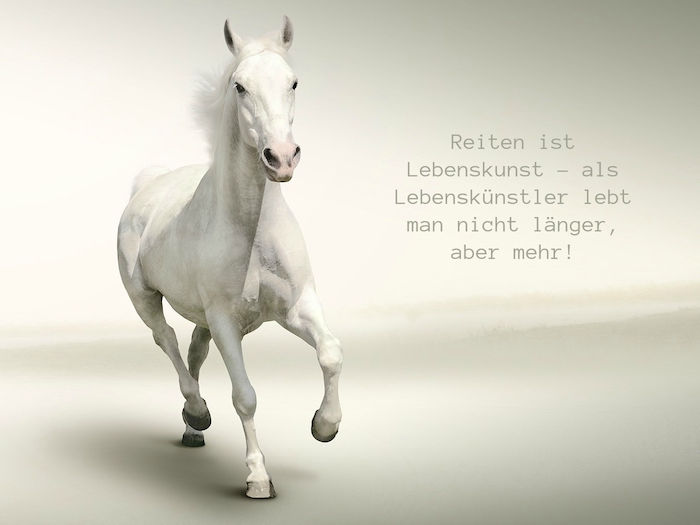 Şimdi, siyah gözlü beyaz bir at ve yoğun bir beyaz yele ile at resmini ve kısa bir atı düşünmeyi düşünüyoruz.